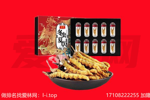 湘西州保靖回收虫草.jpg